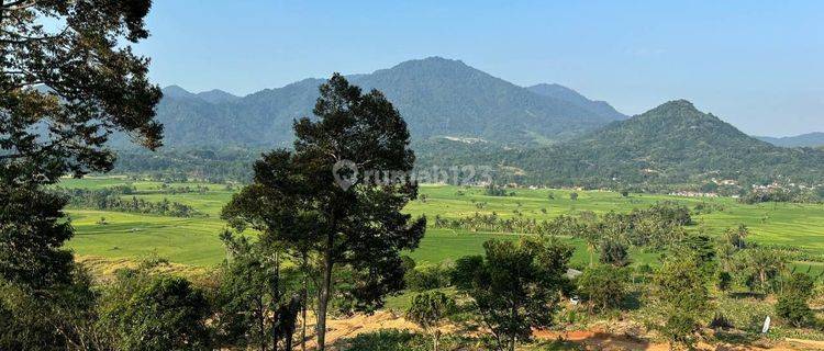 Jual Tanah Kavling Terbaik Dengan View Terindah  1