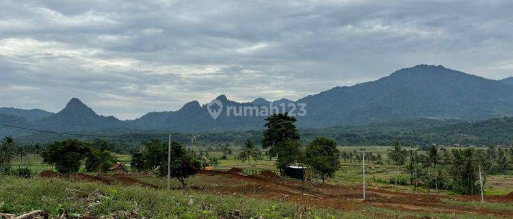 Jual Tanah Kavling Terbaik Dengan Harga Terjangkau  1