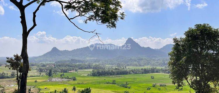 Jual Tanah Kavling Siap Bangun Lokasi Strategis Dan Nyaman  1