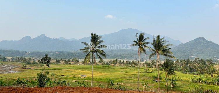 Dijual Tanah Kavling Siap Bangun Dengan View Termegah  1