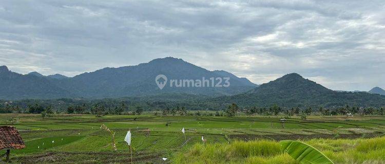 Jual Tanah Kavling Terbaik Dengan View Termegah  1