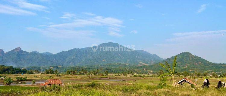 Jual Tanah Siap Bangun Dengan Lokasi Strategis Dan Nyaman  1