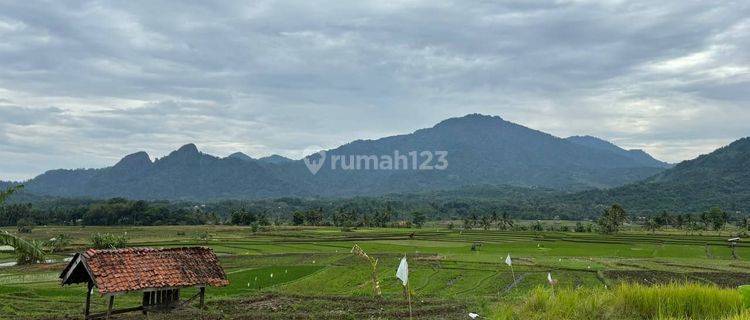 Dijual Tanah Kavling Villa Terestetik Dan Lokasi Strategis  1