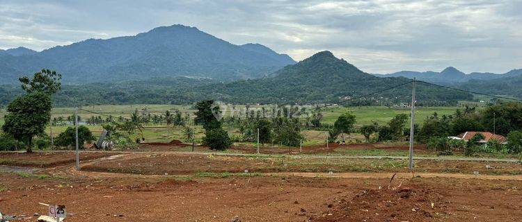 Jual Tanah Kavling Terbaik Dengan View Pegunungan  1