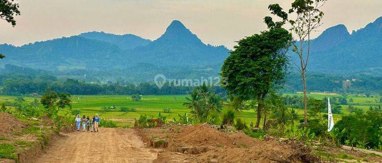 Dijual Tanah Kavling Terbaik Dengan Harga Murah  1