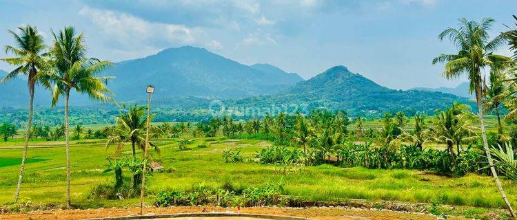 Dijual Tanah Murah Siap Bangun Dengan Harga Murah  1