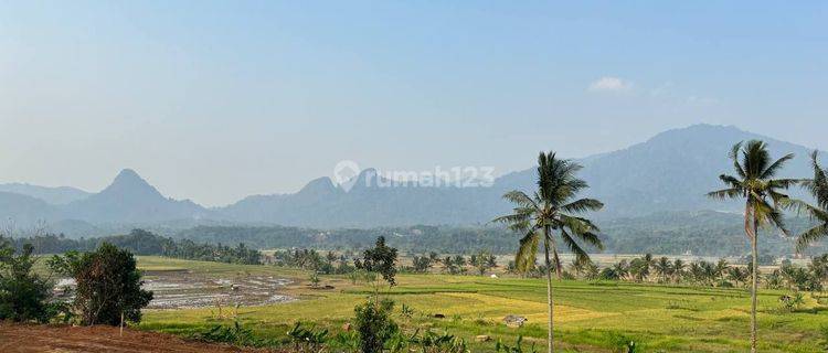 Dijual Tanah Kavling Terbaik Dengan Harga Terjangkau  1