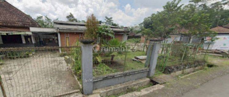 Julia 42665 Rumah Di Desa Tanggung Turen 1