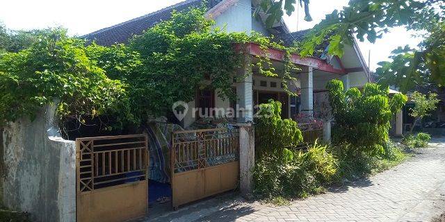 RUMAH PANCAKARYA JEMBER 89621 1