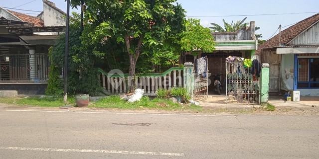 RUMAH METATU GRESIK 84739 1