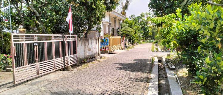 RUMAH PRING SEWU GRESIK 83514 1