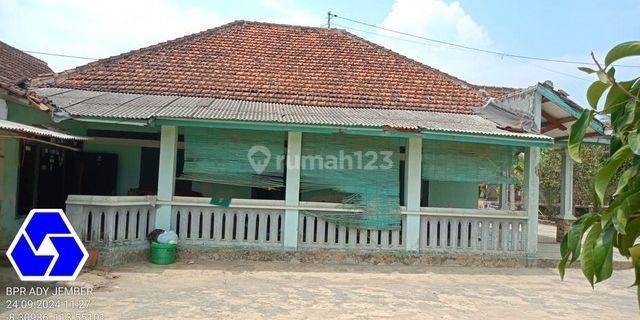 RUMAH TAMANSARI JEMBER 83002 1