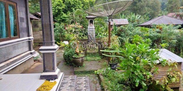 RUMAH BR. BEJI BULELENG 88957 1