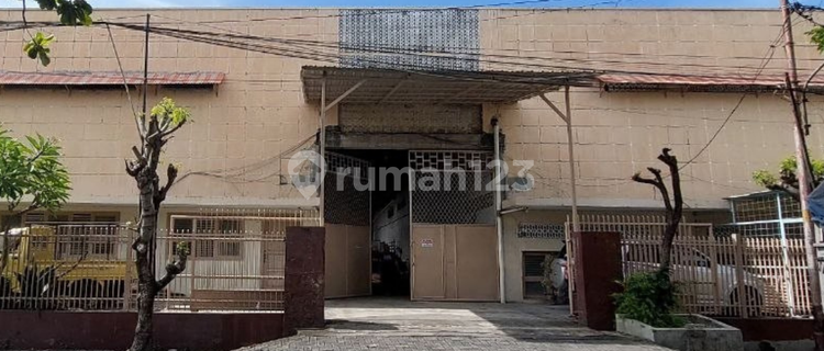 Warehouse + Office for Sale in Flood-Free City Center 1