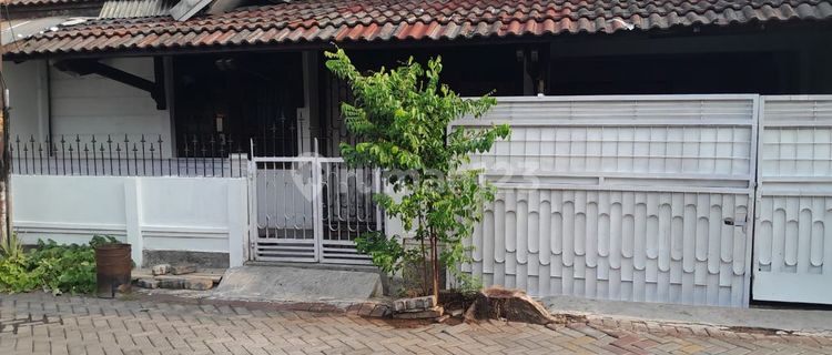 Rumah Daerah Kayu Mas Semarang 1