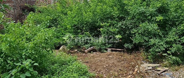 Dijual Tanah Shm - Sertifikat Hak Milik Di Semarang Timur 1