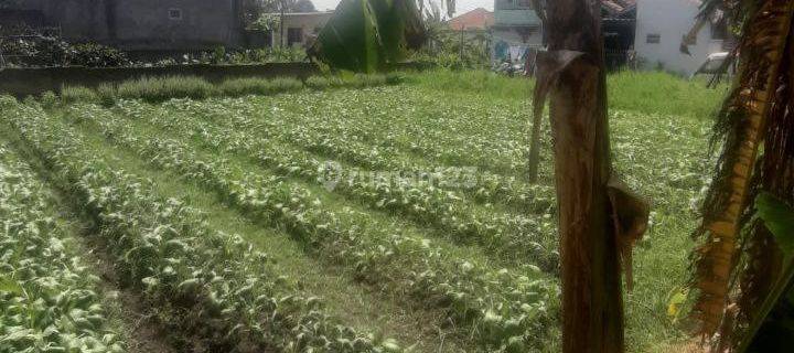 Dijual Tanah Kavling Strategis Dekat Kampus Upi Cibiru Cocok Jadi Tempat Kosan 1