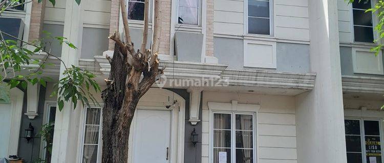 Rumah Bagus Full Furnished BSD Vanya Park Cluster Azura  1