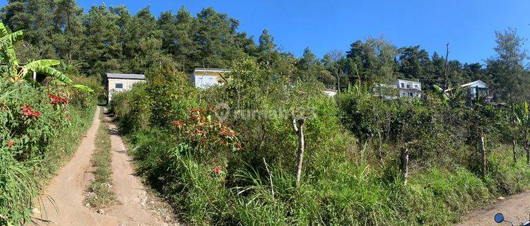 Cheap land for sale in Kintamani, strategic location  1