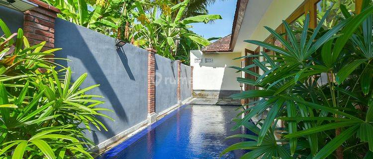 HP-L10-Rumah Bagus Furnished SHM di Kaliasem, Buleleng 1