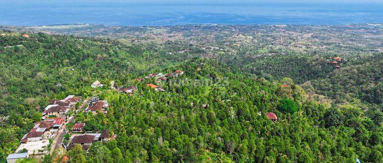 Tanah di Kayuputih, Buleleng SHM 5.000 m² Dengan Panoramic View 1