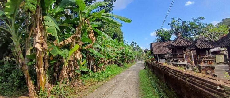 Land near Ubud Central AD 1