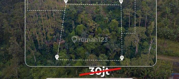 Land for sale 3482 m² in Pelaga Badung DD 1