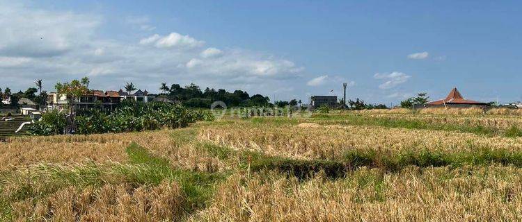 Cheap land in Babakan Canggu AT 1