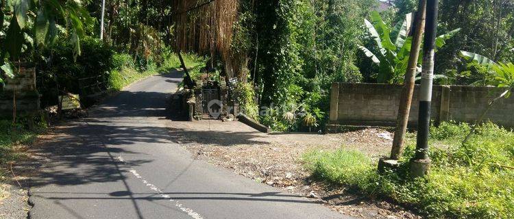 Tanah Murah Pinggir Jalan Di Tabanan DD 1