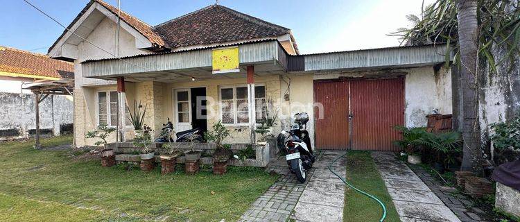 Rumah Sarang Burung Walet di Bondowoso Jawa Timur 1