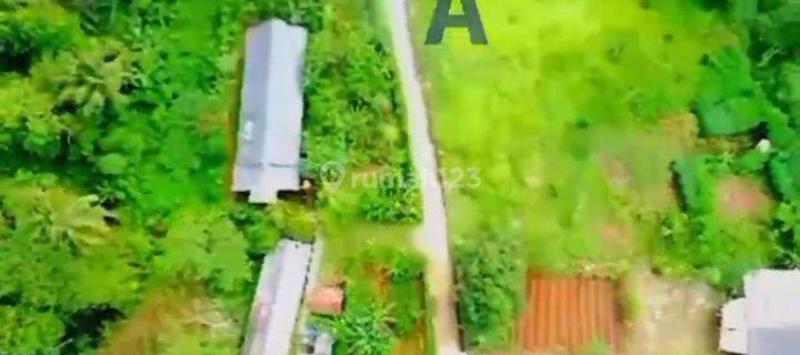 Tanah datar di kampung Nangoh Cimande bogor 1