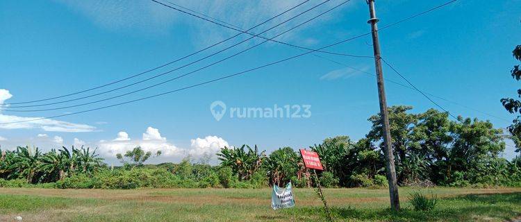 Tanah Hook Tanjung Bunga 1