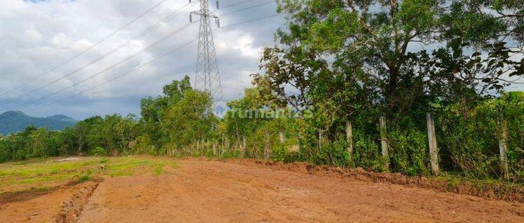 Tanah Kawasan industri Panaikang Kecamatan Pattalassang 1