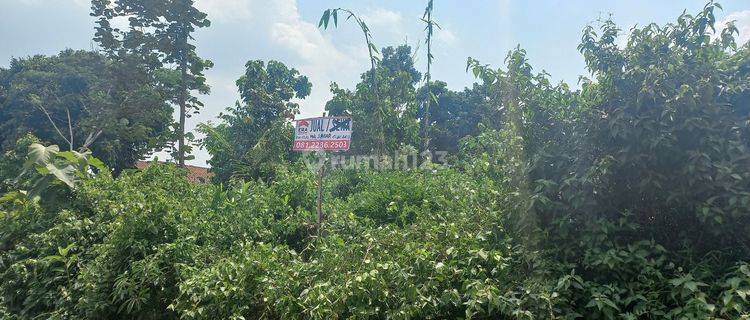 Tanah di daerah Pudak Payung Semarang cocok untuk perumahan  1