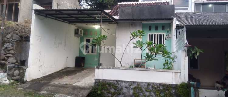 Small House on the Edge of an Umbrella 1