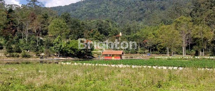 Tanah Terbaik di Ranca Bali Ciwidey, pemandangan sangat indah menghadap Kota Bandung, persis disamping Nimo Jungle 1