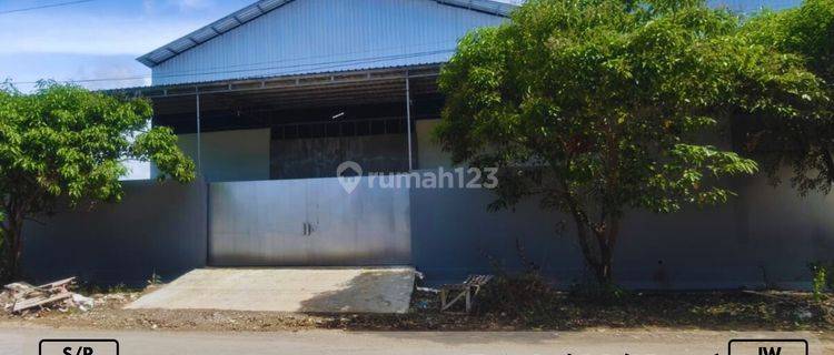 Disewakan Gudang 1LT Pergudangan Pattene Siap Pakai  1