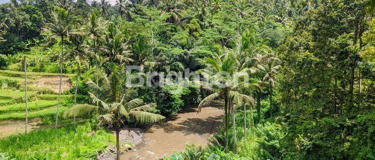 TANAH 6,03 HEKTAR DI SAYAN UBUD DEKAT FOUR SEASON 1