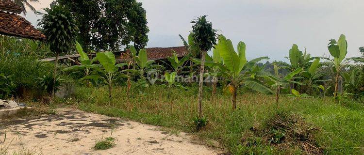 Kavling Perkebunan di Blok Cipasung Sukabumi 1