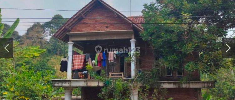 RUMAH BAGUS PINGGIR JALAN BISA TINGGAL DAN USAHA di JL RAYA BATANG SHM 1