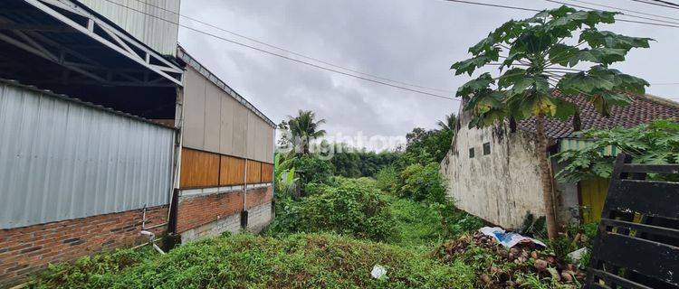 tanah kosong area genteng banyuwangi cocok untuk gudang 1