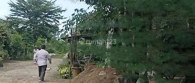 Dijual Tanah 4 hectare di Tanjung Morawa 1