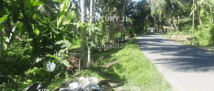 TANAH STARTEGIS DI CITUMANG PANGANDARAN COCOK UNTUK USAHA 1