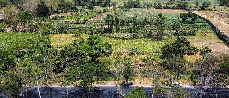 Langka. Tanah Nol Jalan Malang Pasuruan Dkt Tol Purwodadi. Mayora Dll 1