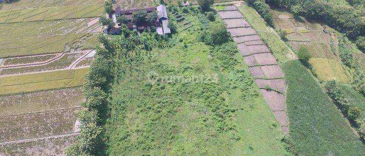 Tanah 18286 m² Murah Strategis di Tasikmadu, SHM dan IMB Lengkap 1