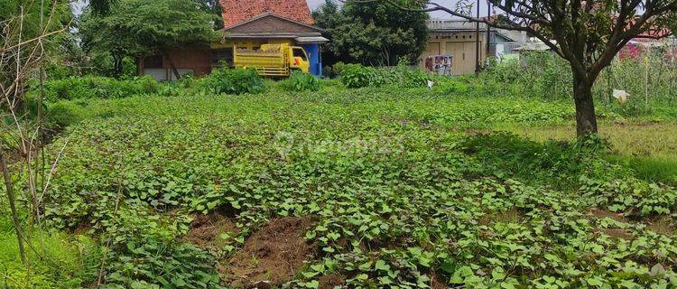 Kavling Luas Strategis di Tengah Kota Cirebon 1