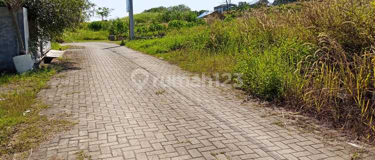 Kavling Dibelakang Torra Mart Sendangmulyo Tembalang 1