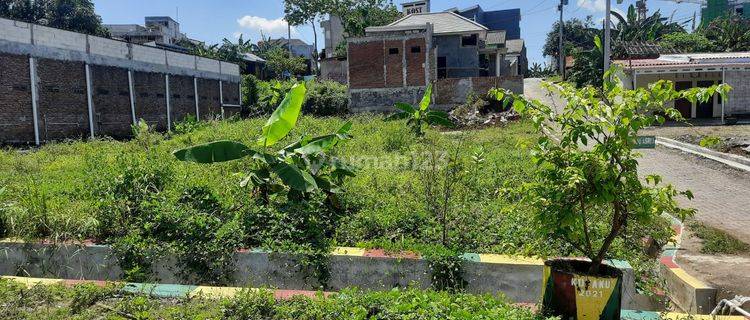 Tanah istimewa Kedungmundu 
hanya itungan langkah kaki dari jalan raya 1