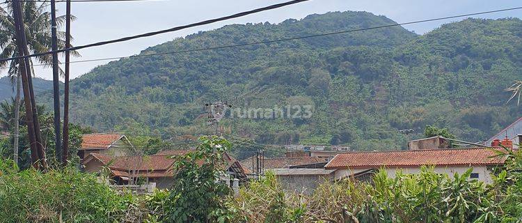 Sawah Aktif Dan Produktif di Jatinangor Pemandangan Gunung  1