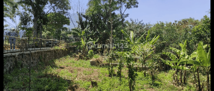 Tanah Kota Bandung Cityview 1 Jutaan SHM Bisa Dipecah  1